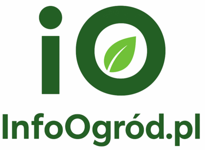 InfoOgród.pl – praktyczne porady ogrodnicze, pielęgnacja roślin, trawniki, laurowiśnie i żywopłoty. Sprawdź, jak stworzyć piękny i zadbany ogród przez cały rok!